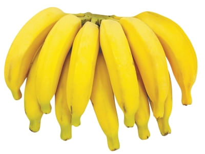 Banana Prata