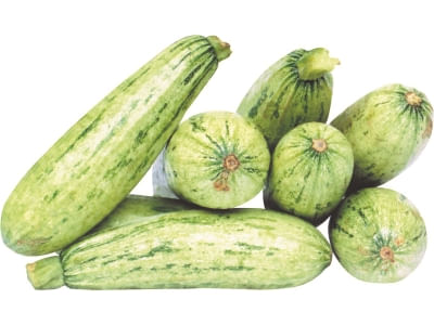 Abobrinha Italiana