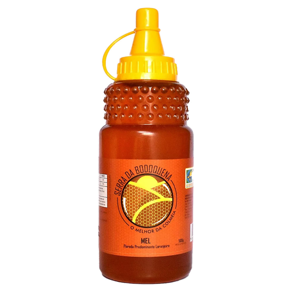 Mel Florada Serra da Bodoquena Eucalipto 270g